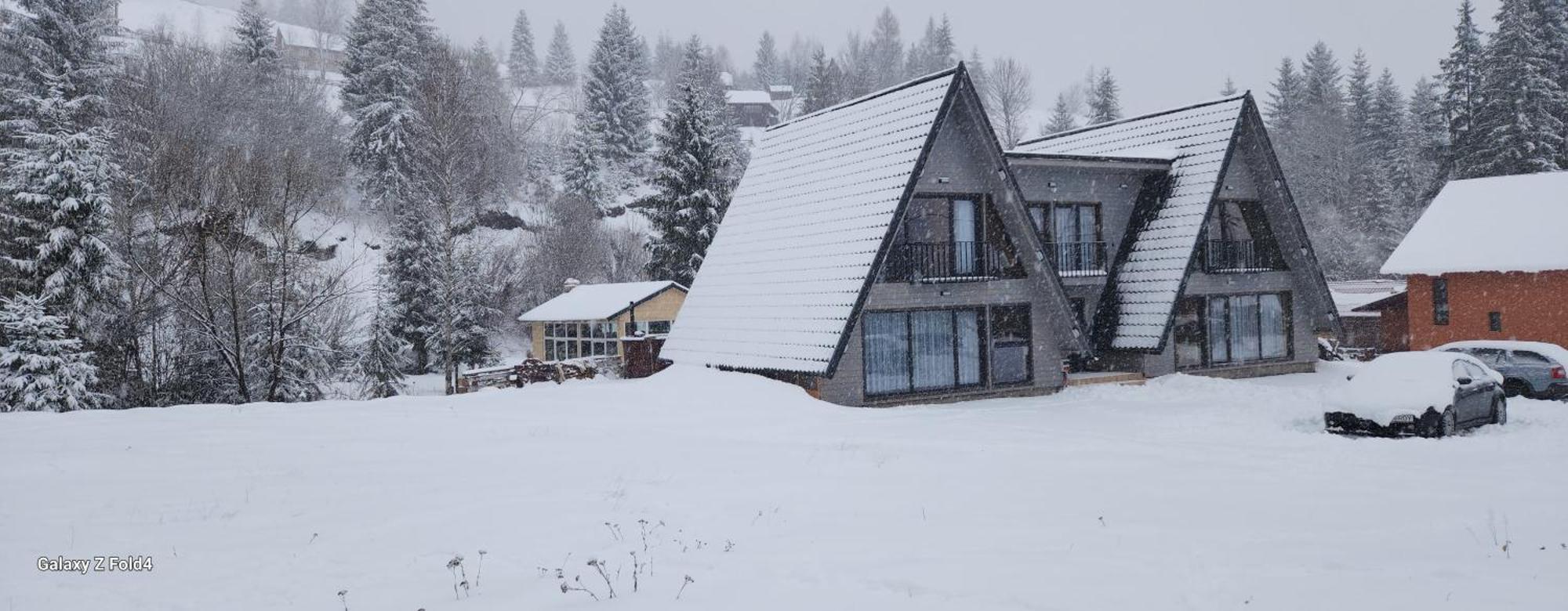 Cabana Din Vale Arieseni Apuseni Arieşeni Exterior foto