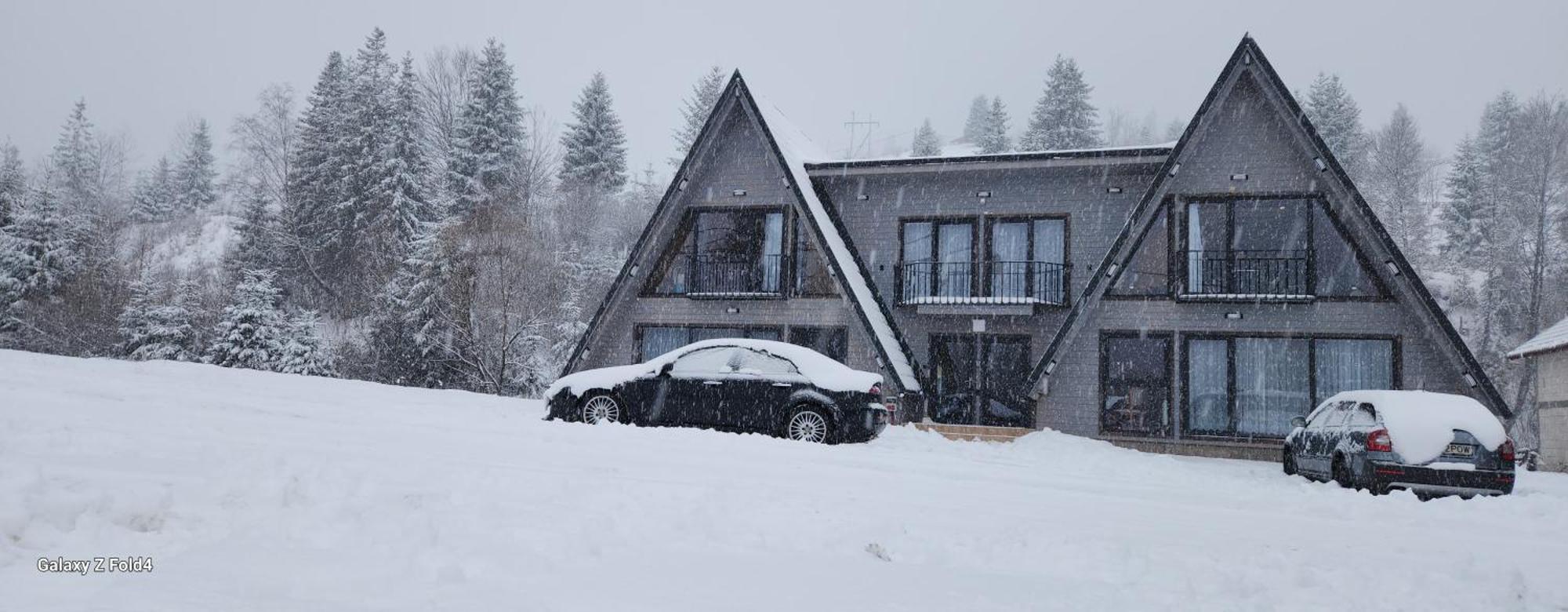 Cabana Din Vale Arieseni Apuseni Arieşeni Exterior foto