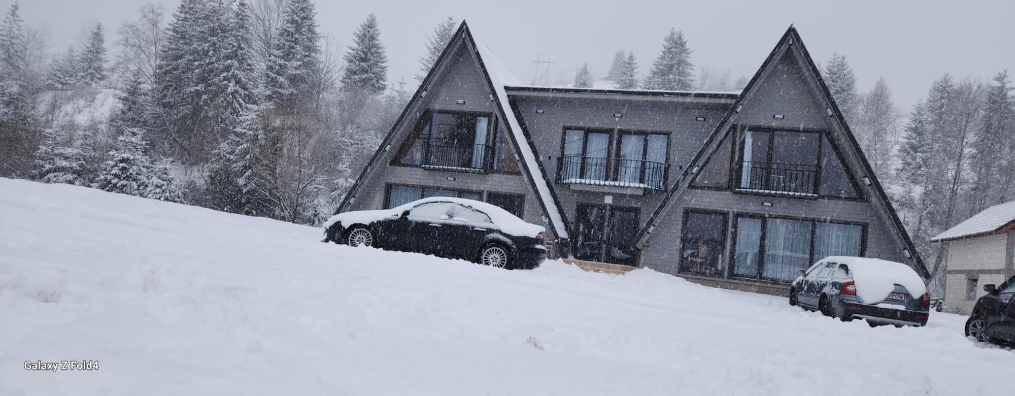 Cabana Din Vale Arieseni Apuseni Arieşeni Exterior foto