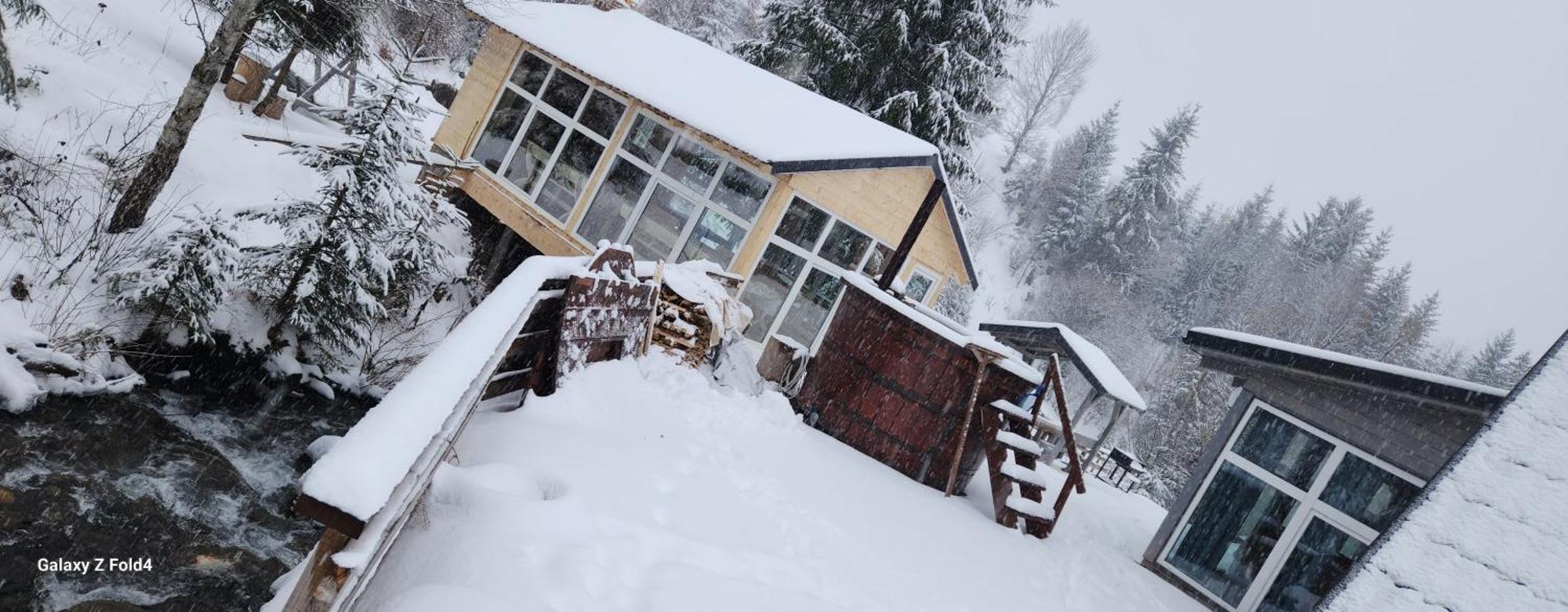 Cabana Din Vale Arieseni Apuseni Arieşeni Exterior foto