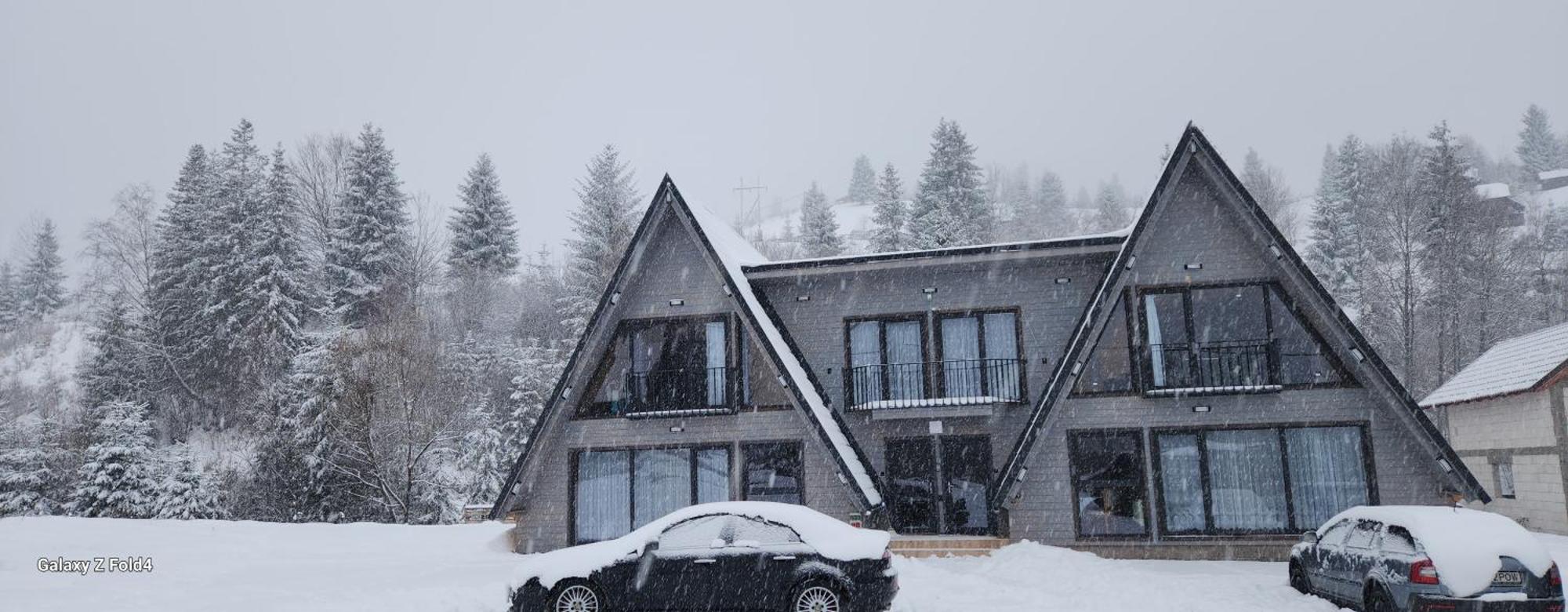 Cabana Din Vale Arieseni Apuseni Arieşeni Exterior foto