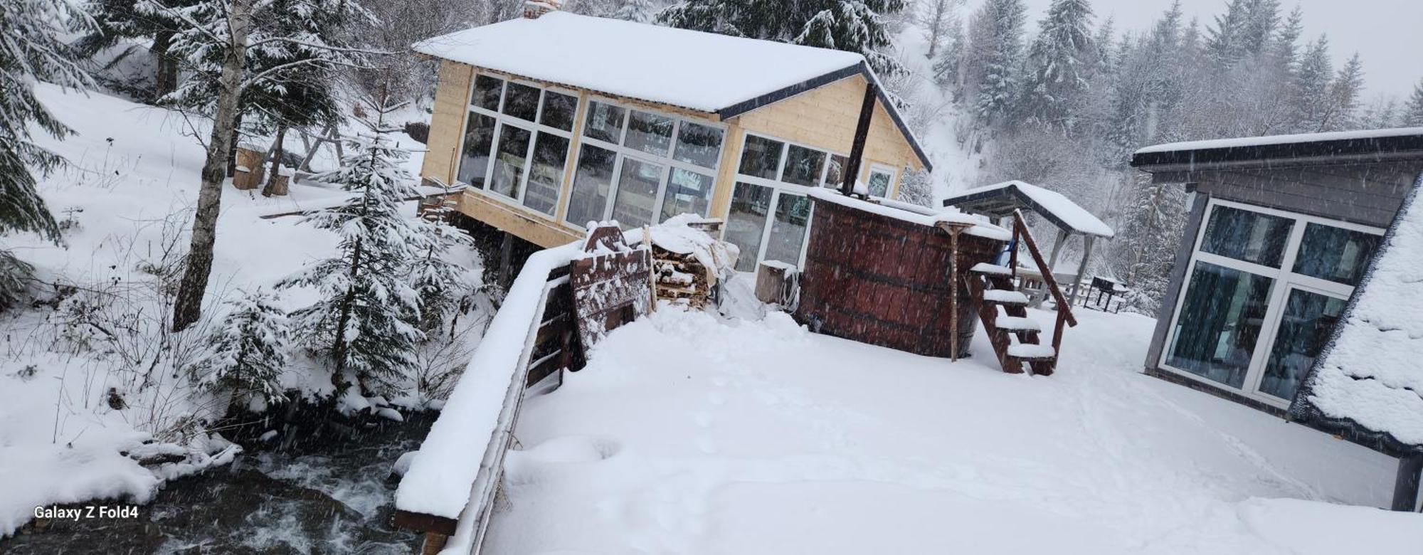 Cabana Din Vale Arieseni Apuseni Arieşeni Exterior foto