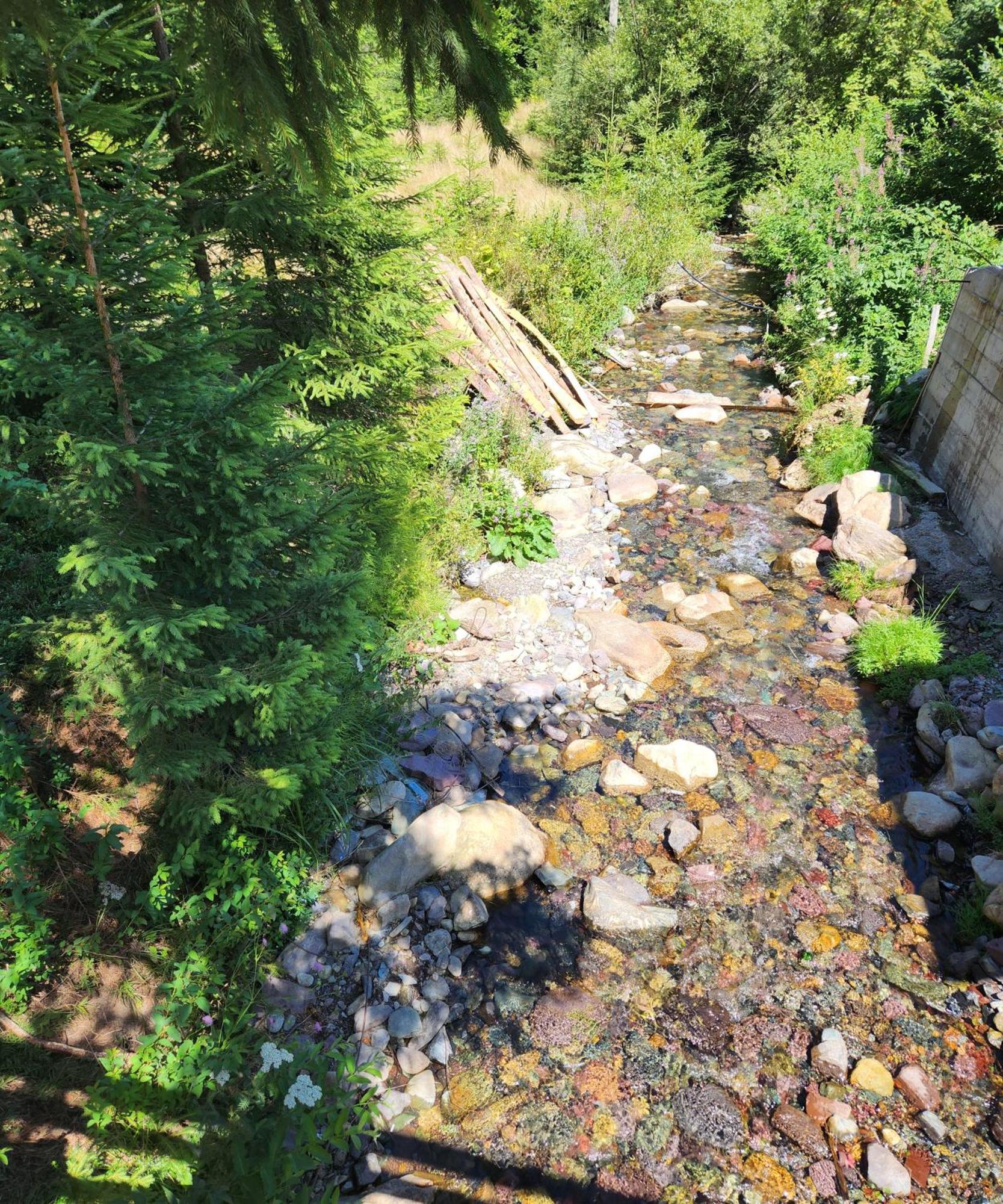 Cabana Din Vale Arieseni Apuseni Arieşeni Exterior foto